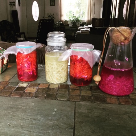 fermentation at home