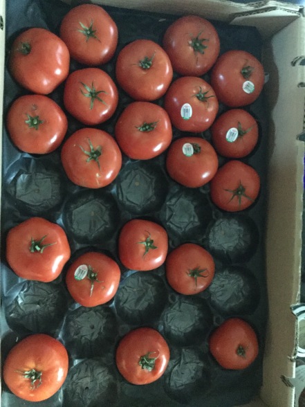 ripe tomatoes, ready to juice